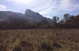 Teren intravilan, 1600 mp, front stradal 65 ml, zona foarte linistita