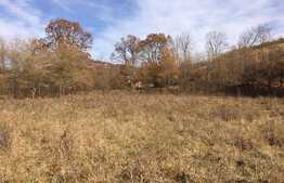 Teren intravilan, 1600 mp, front stradal 65 ml, zona foarte linistita