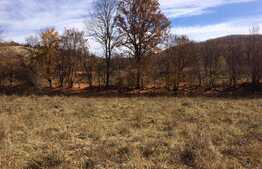 Teren intravilan, 1600 mp, front stradal 65 ml, zona foarte linistita