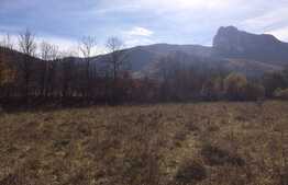 Teren intravilan, 1600 mp, front stradal 65 ml, zona foarte linistita