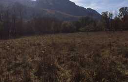 Teren intravilan, 1600 mp, front stradal 65 ml, zona foarte linistita