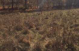 Teren intravilan, 1600 mp, front stradal 65 ml, zona foarte linistita