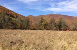 Teren intravilan, 1600 mp, front stradal 65 ml, zona foarte linistita