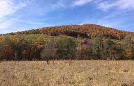 Teren intravilan, 1600 mp, front stradal 65 ml, zona foarte linistita