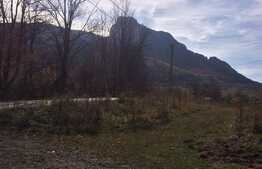 Teren intravilan, 1600 mp, front stradal 65 ml, zona foarte linistita