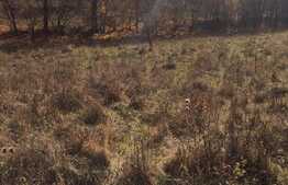 Teren intravilan, 1600 mp, front stradal 65 ml, zona foarte linistita