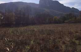 Teren intravilan, 1600 mp, front stradal 65 ml, zona foarte linistita