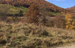 Teren intravilan, 1600 mp, front stradal 65 ml, zona foarte linistita