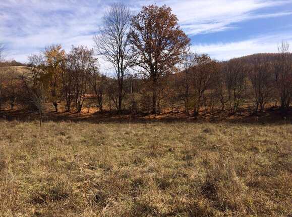 Teren de vânzare Exterior Vest - 28659TV | BLITZ Cluj-Napoca | Poza14