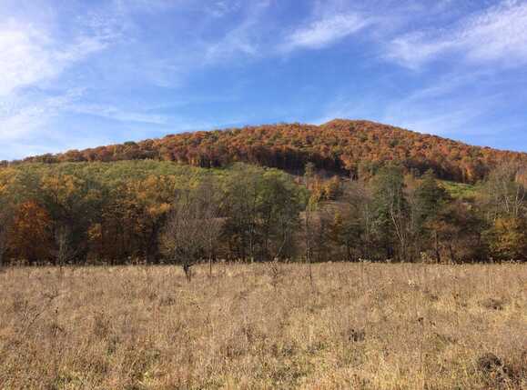 Teren de vânzare Exterior Vest - 28659TV | BLITZ Cluj-Napoca | Poza1