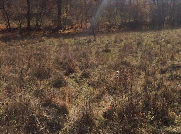 Teren de vânzare Exterior Vest - 28659TV | BLITZ Cluj-Napoca | Poza4