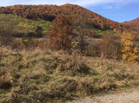 Teren de vânzare Exterior Vest - 28659TV | BLITZ Cluj-Napoca | Poza12