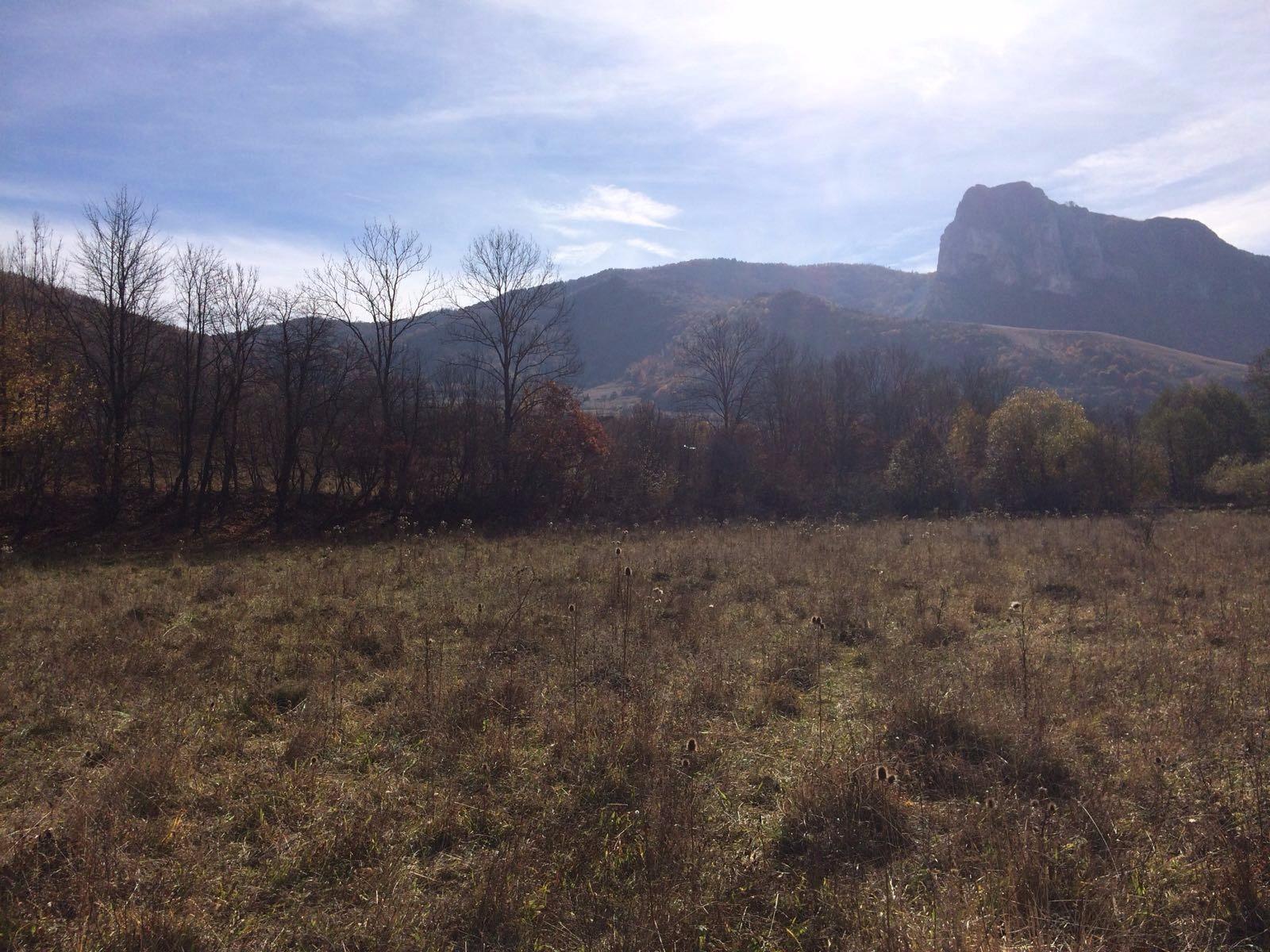 Teren de vânzare Exterior Vest - 28659TV | BLITZ Cluj-Napoca | Poza8