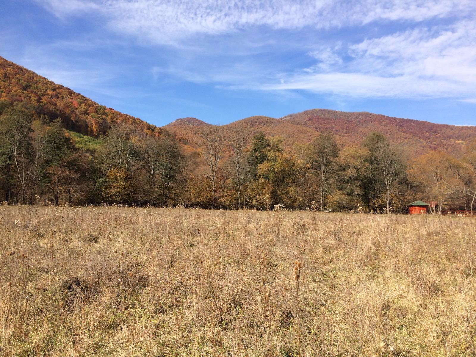 Teren de vânzare Exterior Vest - 28659TV | BLITZ Cluj-Napoca | Poza2
