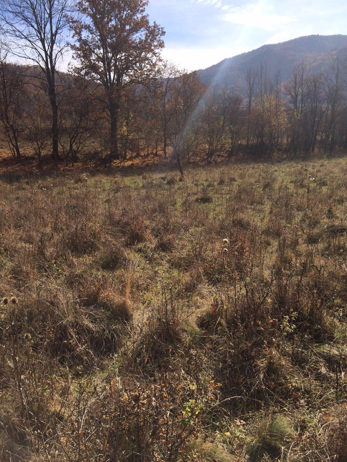 Teren de vânzare Exterior Vest - 28659TV | BLITZ Cluj-Napoca | Poza4