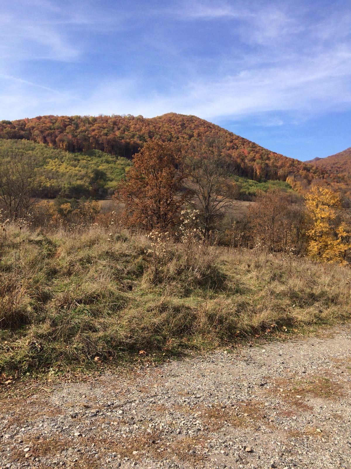 Teren de vânzare Exterior Vest - 28659TV | BLITZ Cluj-Napoca | Poza12