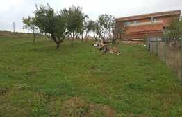 Teren intravilan 500 mp, zona linistita 