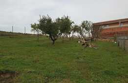 Teren intravilan 500 mp, zona linistita 