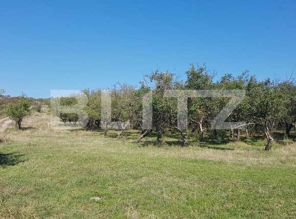 Teren de vânzare Dambul Rotund - 28670TV | BLITZ Cluj-Napoca | Poza2