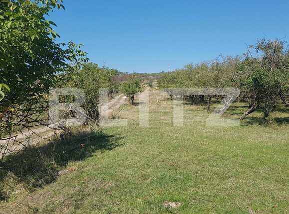 Teren de vânzare Dambul Rotund - 28670TV | BLITZ Cluj-Napoca | Poza1