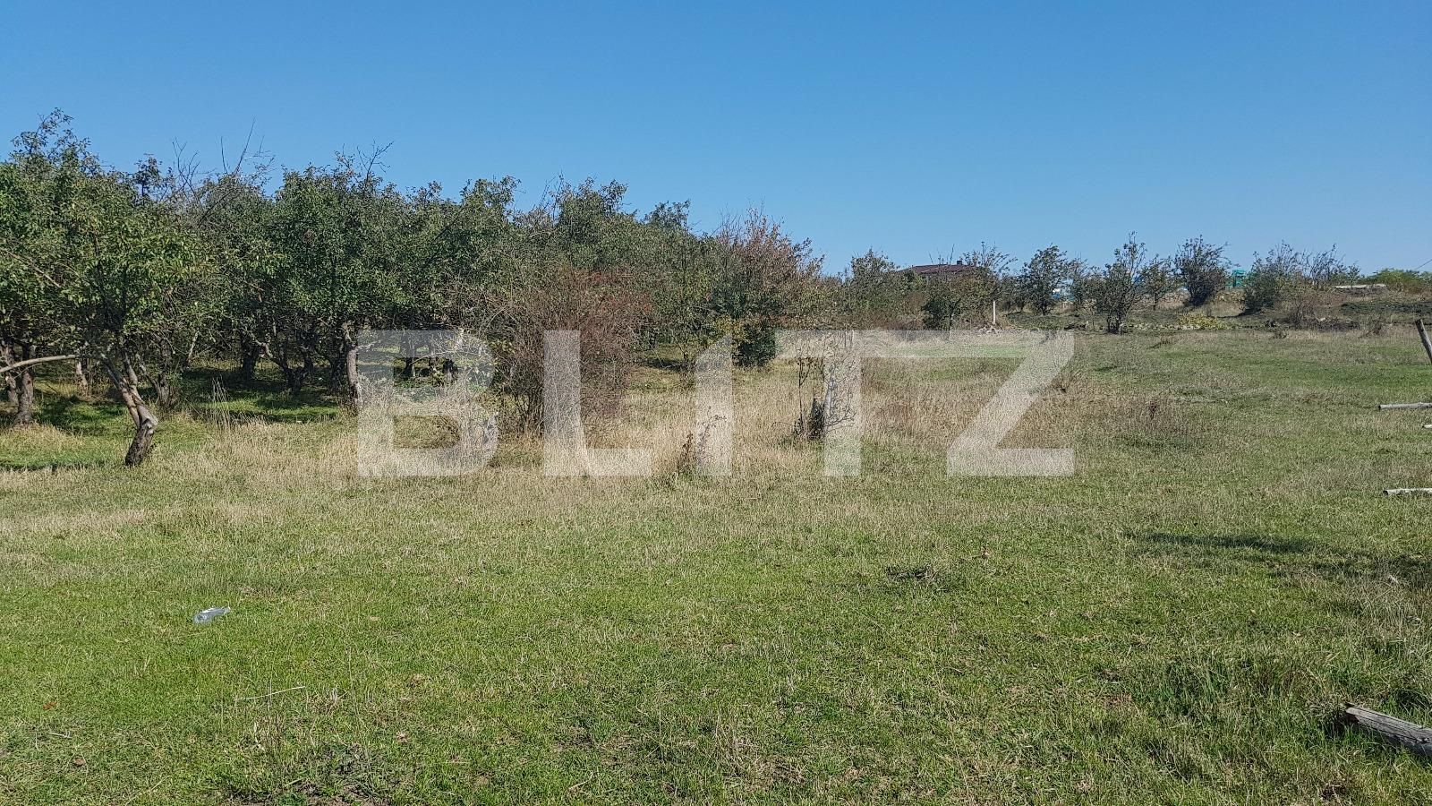 Teren de vânzare Dambul Rotund - 28670TV | BLITZ Cluj-Napoca | Poza4