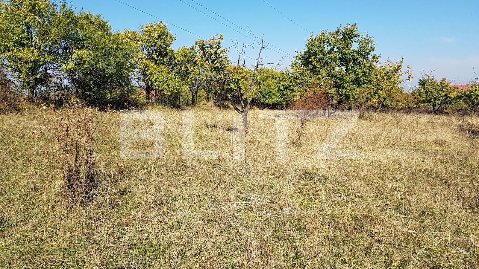 Teren de vânzare Dambul Rotund - 28670TV | BLITZ Cluj-Napoca | Poza8