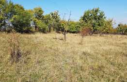 Teren intravilan 1809 mp, zona linistita