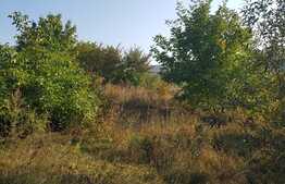 Teren intravilan 1809 mp, zona linistita