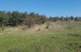 Teren intravilan 1809 mp, zona linistita