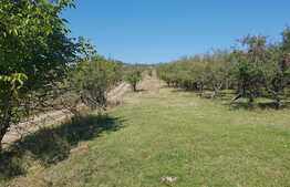 Teren intravilan 1809 mp, zona linistita