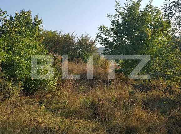 Teren de vânzare Dambul Rotund - 28671TV | BLITZ Cluj-Napoca | Poza1