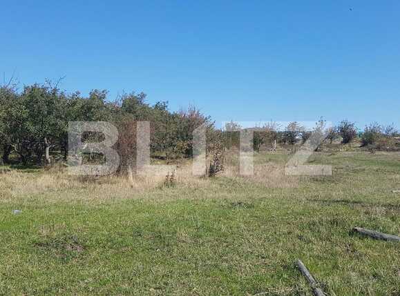 Teren de vânzare Dambul Rotund - 28671TV | BLITZ Cluj-Napoca | Poza2