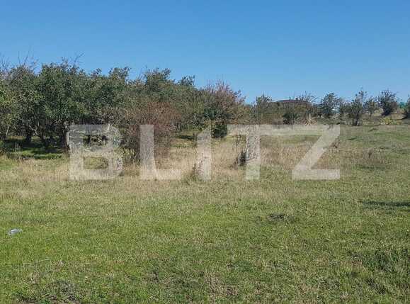 Teren de vânzare Dambul Rotund - 28671TV | BLITZ Cluj-Napoca | Poza3