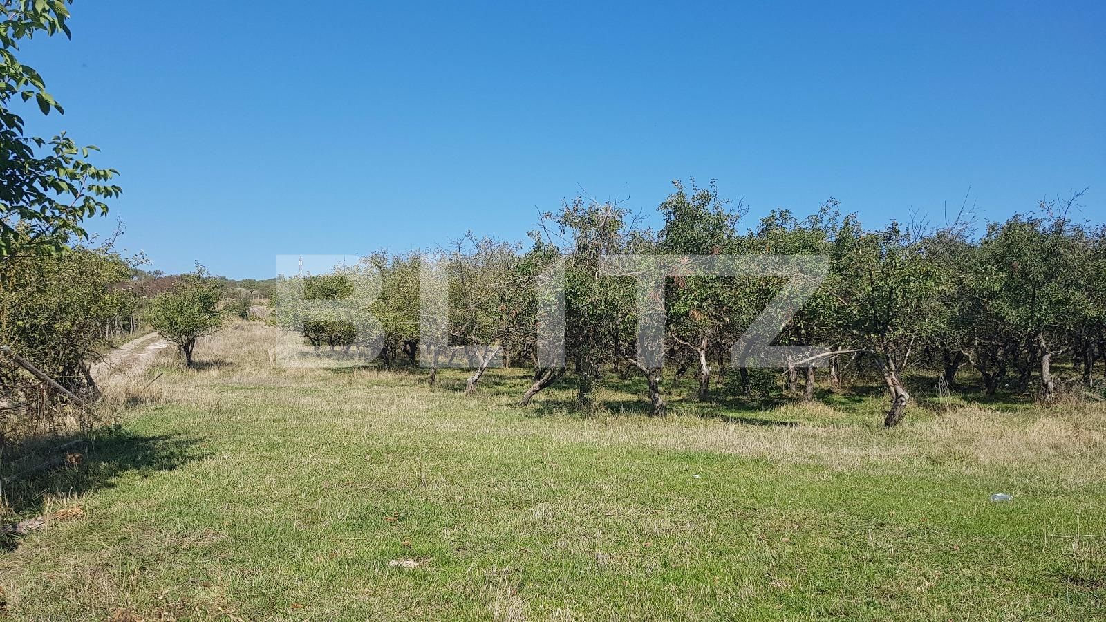 Teren de vânzare Dambul Rotund - 28671TV | BLITZ Cluj-Napoca | Poza7