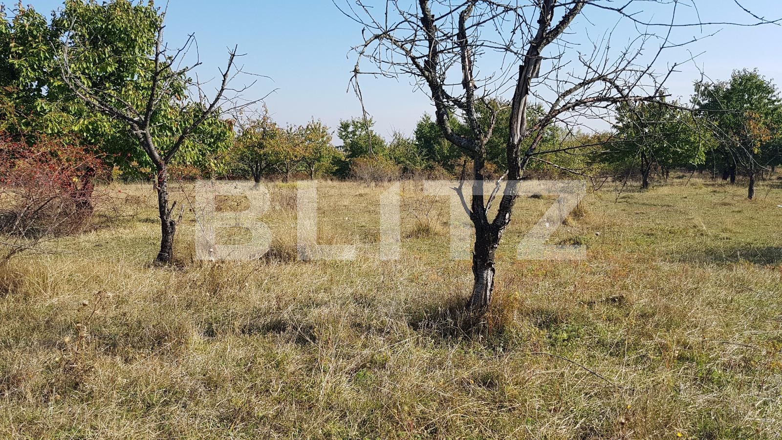 Teren de vânzare Dambul Rotund - 28671TV | BLITZ Cluj-Napoca | Poza8