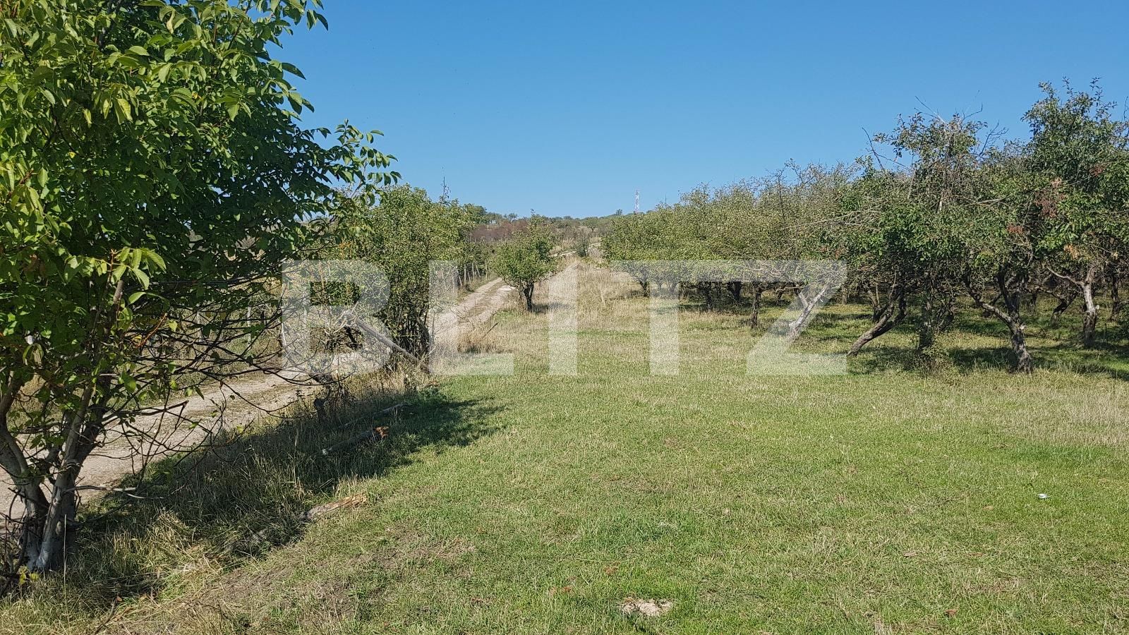 Teren de vânzare Dambul Rotund - 28671TV | BLITZ Cluj-Napoca | Poza4