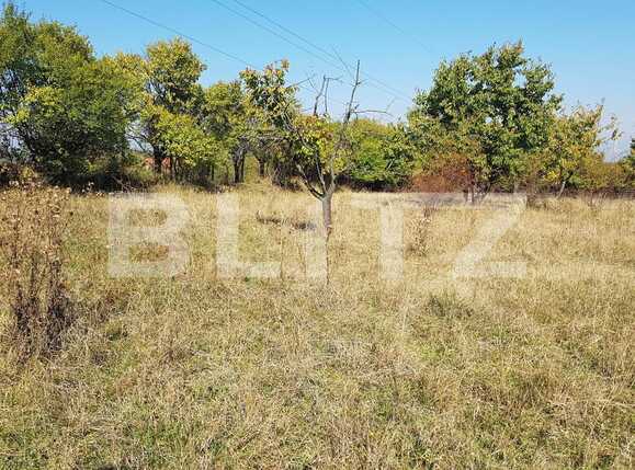 Teren de vânzare Făget - 28673TV | BLITZ Cluj-Napoca | Poza1