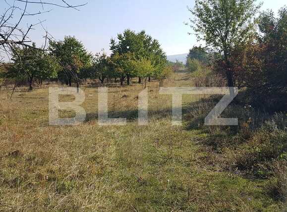 Teren de vânzare Făget - 28673TV | BLITZ Cluj-Napoca | Poza3