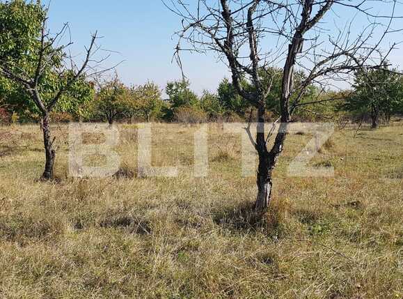 Teren de vânzare Făget - 28673TV | BLITZ Cluj-Napoca | Poza2