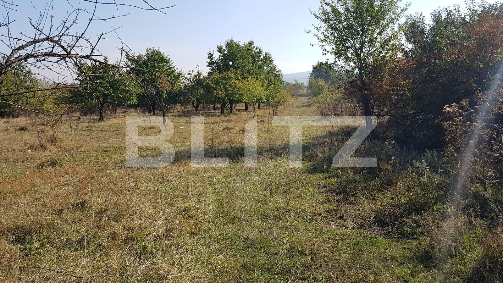 Teren de vânzare Făget - 28673TV | BLITZ Cluj-Napoca | Poza3