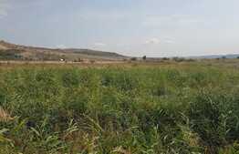 Teren intravilan 4300 mp, front 330 ml, zona linistita.