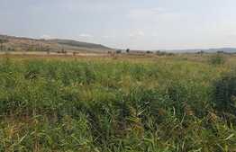 Teren intravilan 4300 mp, front 330 ml, zona linistita.