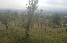 Teren intravilan 2660 mp, zona linistita, panorama superba