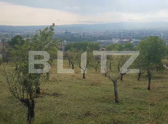 Teren de vânzare Dambul Rotund - 28676TV | BLITZ Cluj-Napoca | Poza2