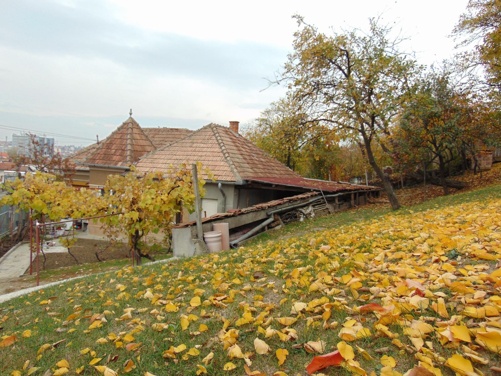 Casa de vânzare 2 camere Dambul Rotund - 28679CV | BLITZ Cluj-Napoca | Poza3