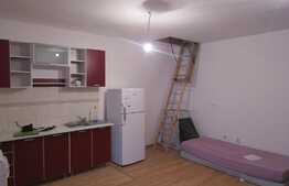 Garsoniera de 31 mp, plus POD de 30 mp! Parcare! Zona Lidl!