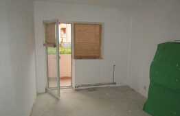 Apartament cu 2 camere, 53 mp, gradina de 8 mp! Zona strazii Muzeul Apei!