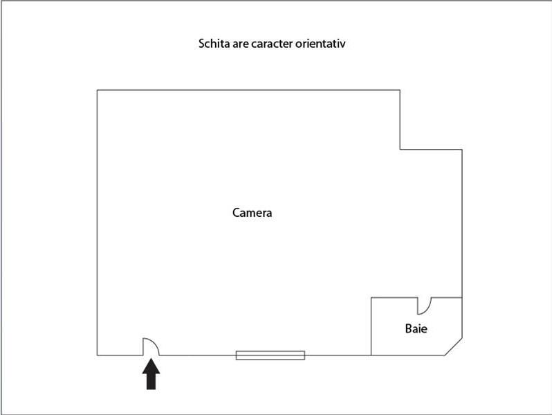 Spațiu comercial de vânzare Central - 28716SVC | BLITZ Cluj-Napoca | Poza1