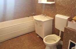 Apartament 3 camere, 67 mp, terasa de 57 mp! Zona strazii Urusagului! 