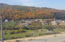 Duplex de 119 mp, teren de 250 mp, semifinisat! Zona de case!